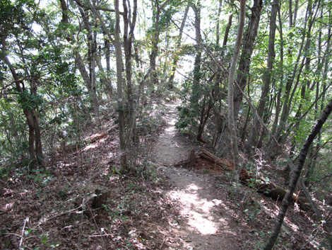 20151006hike (286)